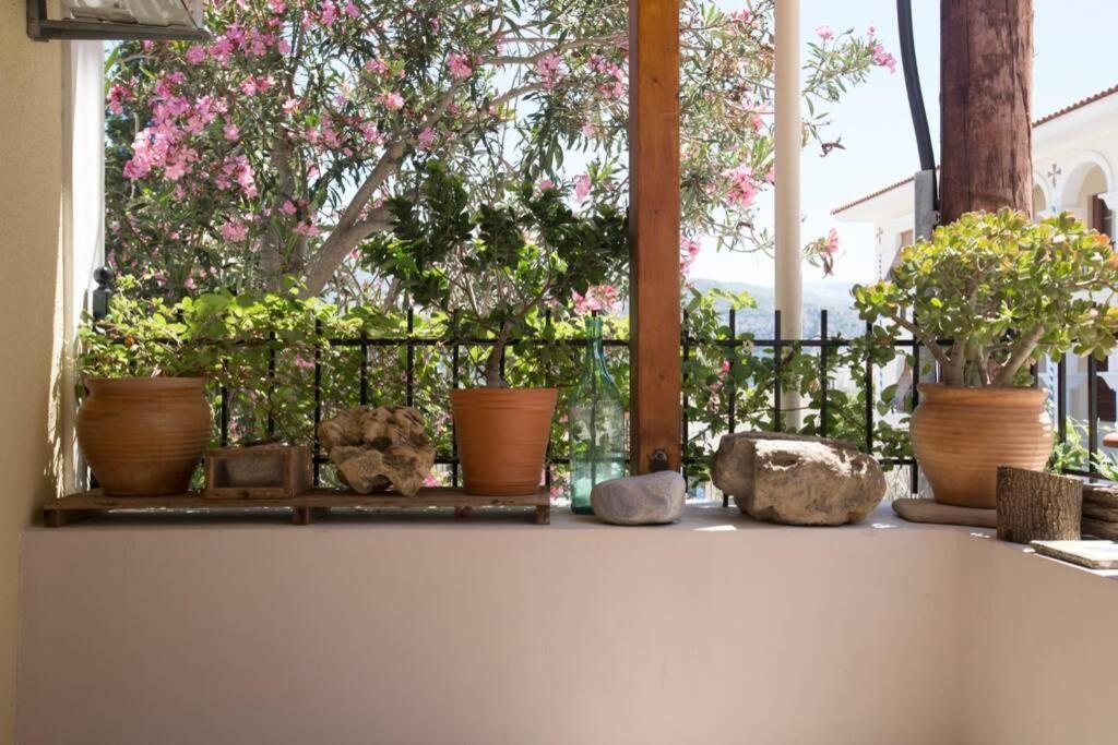 Kostas' House Argostoli 빌라 외부 사진